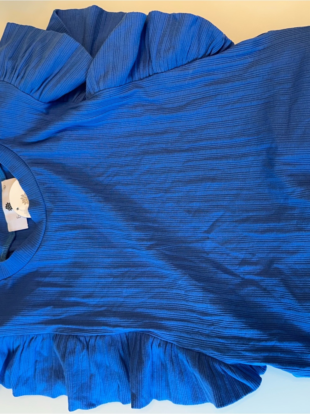 Everyday chic Ruffled Sleeve Ribbed Top in Blue